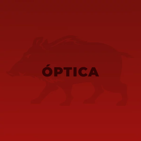 Óptica